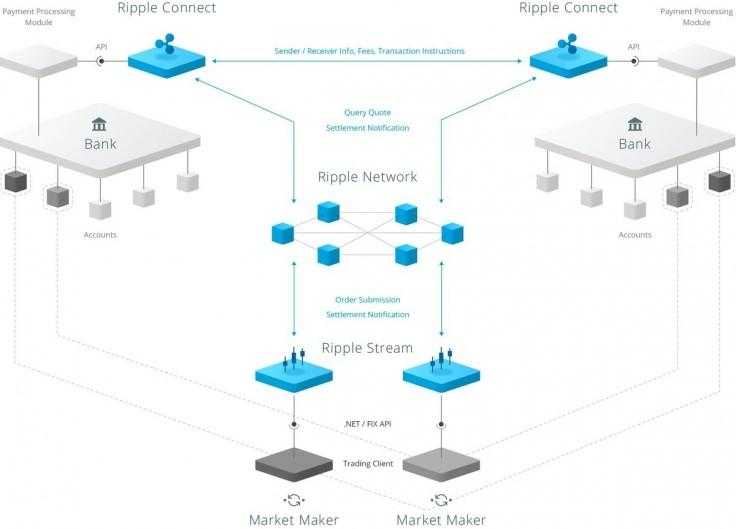Ripple network diagram