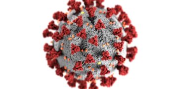 Increasing Coronavirus Cases Raises Concern on Economic Recovery, Favouring the Dollar